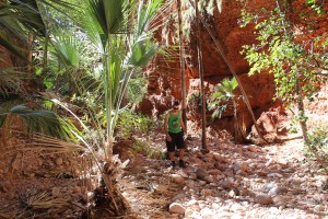 Bungle Nationalpark-028